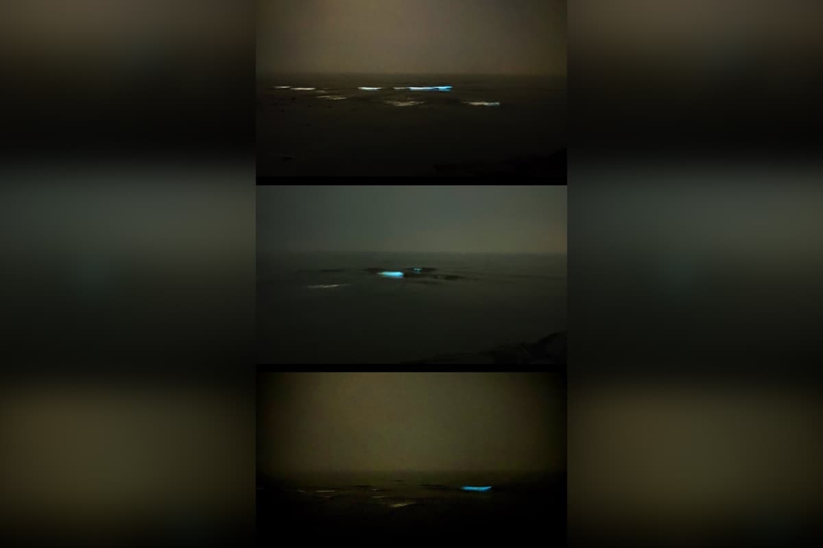 Bioluminescent waves seen in Mumbai's Juhu beach. Bioluminescent waves seen in Mumbai's Juhu beach.