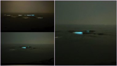 Bioluminescent Blue Waves Sparkle at Mumbai's Juhu Beach: Beautiful Pics of Glowing Water on City Shores Shared Online