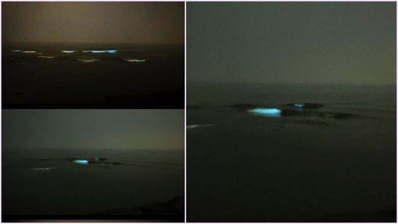 Bioluminescent blue waves sparkle at mumbai's juhu beach: beautiful pics of glowing water on city shores shared online | 👍 latestly