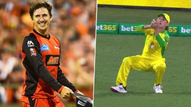 Brad Hogg Takes Cheeky Dig at Adam Zampa After Leg-Spinner Drops His RCB Skipper Virat Kohli’s Catch During India vs Australia 1st ODI 2020