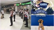 Cute Pawfessionals! Viral Stray Dog Lazing in Philippines Mall Gets Hired in Security; Other Times When Pooches Secured Jobs Just by Their Presence (View Adorable Pics)