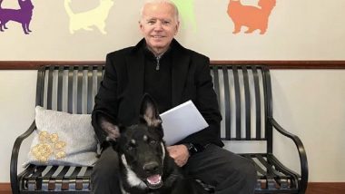US President-Elect Joe Biden’s German Shepherd 'Major' Honoured at ‘Indoguration’