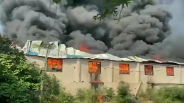 Gujarat Fire: Blaze Engulfs Plastic Manufacturing Unit in Valsad (Watch Video)