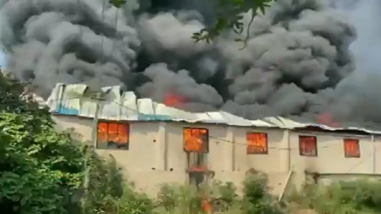 Gujarat Fire: Blaze Engulfs Plastic Manufacturing Unit in Valsad (Watch Video)