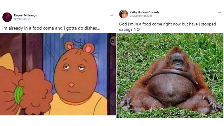 Thanksgiving Food Coma Hits in! Netizens Share Funny Memes and GIF ...