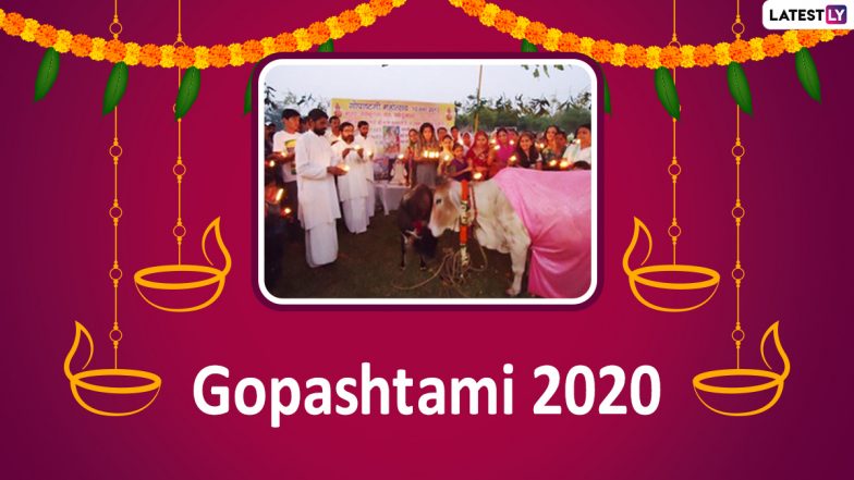 Gopashtami 2020 Date & Shubh Muhurat: Know The Significance, Rituals And Mythological Stories Related to the Cow-Worshipping Hindu Festival