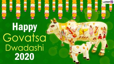 Govatsa Dwadashi 2020 Date & Shubh Muhurat: Know The Significance, Rituals And Mythological Stories Related to Vasu Baras Dedicated to Worship of Cows on First Day of Diwali