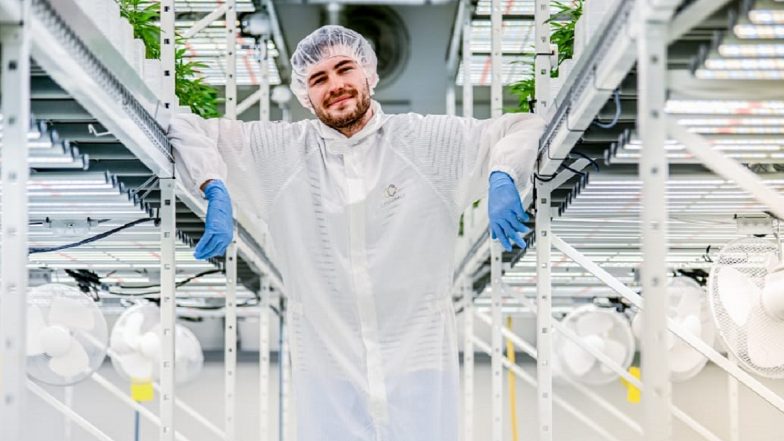 Cannerald Shows With Its Unique CannerGrow Concept That Cannabis Is a Substantial and Profitable Future-Market
