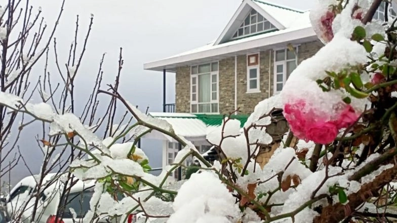 Winter 2020: Drass Coldest at Minus 17.6 Degrees Celsius in Ladakh, Jammu and Kashmir