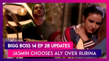 Bigg Boss 14 Episode 28 Updates | Nov 10 2020: Jasmin Chooses Aly Over Rubina