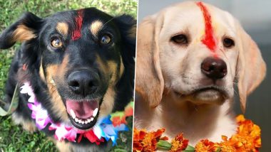 Kukur Tihar 2020 Dates in Nepal: Know Legends and Significance of Unique Festival That Worships Dogs During Diwali