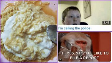 Maggi With Curd? Viral Pic of Weird Food Combination Has Twitter Users Wanting to Report a Crime, See Funny Reactions