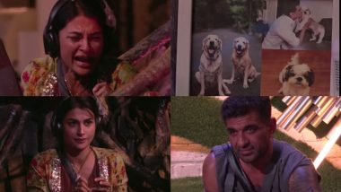 Bigg Boss 14 Promo: Will Eijaz Khan Ruin His Special Photo Frame to Save Pavitra Punia From the Nominations? (Watch Video)