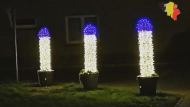 X-Rated Xmas! Penis-Shaped Christmas Lights 'Decorate' Belgian Town, Mayor Asks People to Look at Its Humorous Side (See Viral Pics)