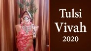 Tulsi Vivah 2020 Date and Shubh Muhurat: Know Significance of This Ceremonial Tulasi Marriage Rituals Celebrated After Diwali