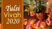 Tulsi Vivah 2020 Dos & Don'ts: From Not Plucking Basil Leaves to Fasting Rules, Auspicious Rituals to Keep in Mind For Good Luck and Prosperity on Probodhini Ekadashi