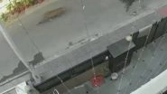 Leopard Enters Residential Area in Ghaziabad; Watch Video