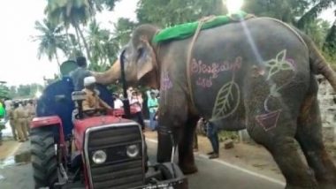 Thirsty Elephant Stops Water Tanker Enroute Its Procession During Hampi Utsav in Karnataka's Ballari City