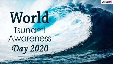 World Tsunami Awareness Day 2020 Date And Theme: Know The History And Significance of the Observance That Creates Awareness About the Natural Disaster