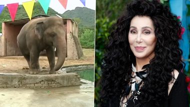 World’s Loneliest Elephant ‘Kaavan’ to Be Restelled From Pakistan Zoo to Cambodian Sanctuary With Help of Singer Cher, Pakistan PM Imran Khan Appreciates Her Efforts