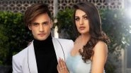 Is Himanshi Khurana Fasting for Asim Riaz? Her Karwa Chauth Video Sees Her Applying Mehndi on Hands
