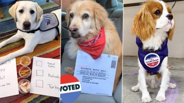 Paws Up for US Presidential Election 2020! Americans Share Pics of Dogs Dressed in Red, White & Blue With ‘I Voted’ Stickers on Them & They Are Such Relief Amid the Election Anxiety
