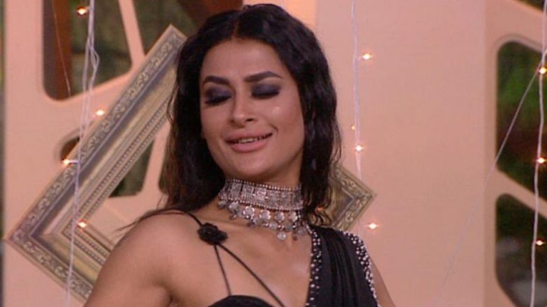 Bigg Boss 14 Weekend Ka Vaar Nov 29 Episode: Pavitra Punia Evicted, New Contestants Announced - 5 Highlights of BB 14