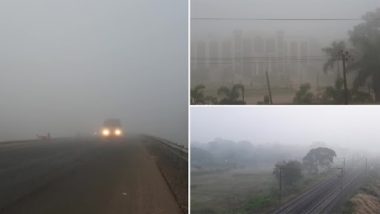 Dense Fog Engulfs 7 Districts of Odisha Including Cuttack, Angul, Jajpur and Balasore; IMD Bhubaneswar Issues Yellow Warning