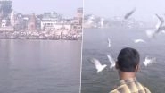 Migratory Birds From Siberia Flock River Ganga in Uttar Pradesh&rsquo;s Varanasi Attracting Tourists and Bird-Watchers (Watch Video)