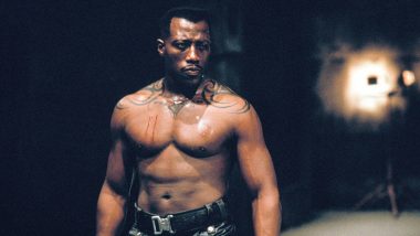 Wesley Snipes Denies Claims That He 'Tried to Strangle' Blade Trinity Director