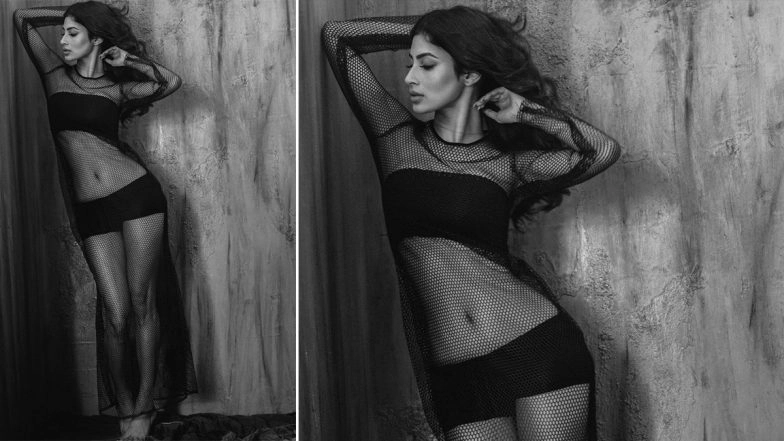 Mouni Roy Strikes a Sexy Pose in Mesh Outfit
