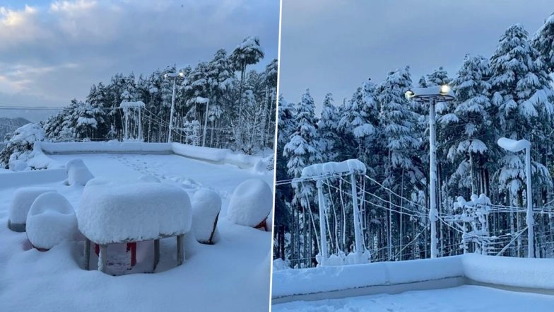 Snowfall in Patnitop: Pics & Videos of White Paradise Go Viral