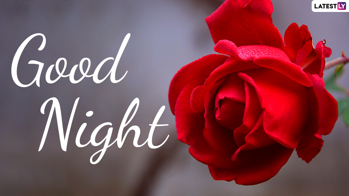 Good Night HD Images for Free Download in English: Send Good Night ...