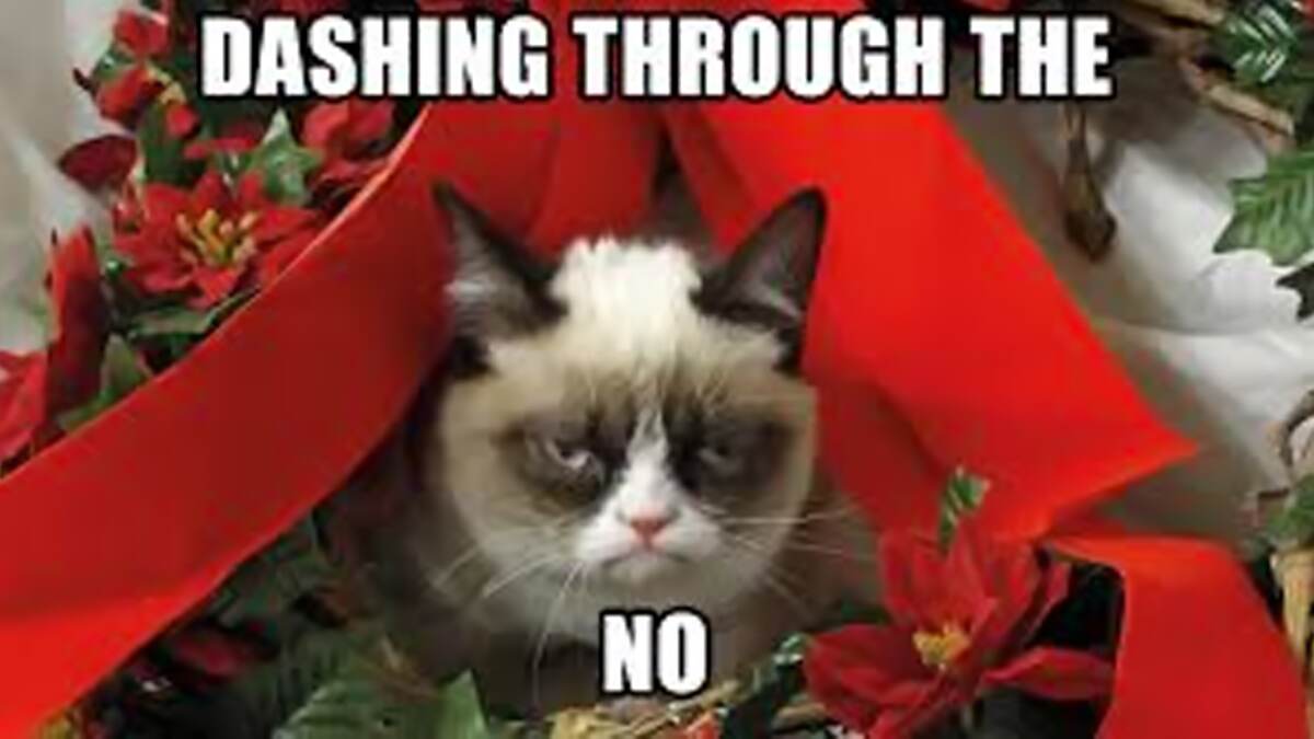 ‘Dashing Through The,’ NO! Funny December Birthday Memes and Jokes That ...