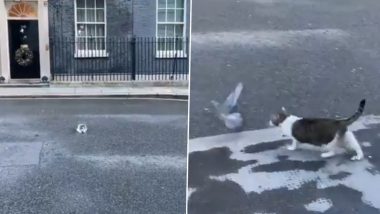 Larry, the Downing Street Cat in London Pounces on Pigeon Outside British PM Boris Johnson’s Office Amid the Brexit Announcement, Video Capturing the Tussle Goes Viral