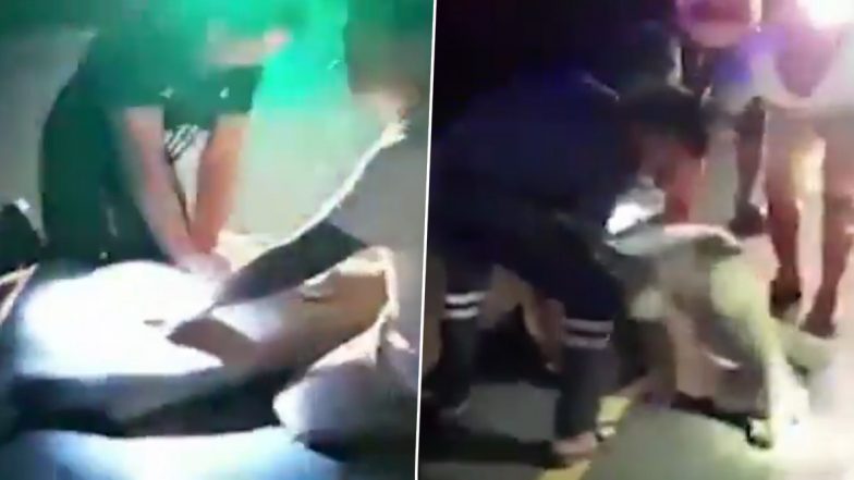 Elephant Calf Brought Back to Life by Thai Rescue Worker Who Used CPR After It Was Hit by a Motorcycle While Crossing a Road; Video Goes Viral!