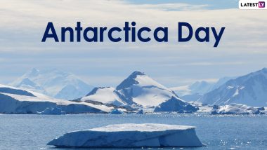 Antarctica Day 2020: Interesting Facts About Antarctica That Will Blow Your Mind Away