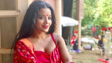 Namak Ishq Ka Star Monalisa Believes TV Shows Are Made Keeping the  Household Audiences in Mind | ðŸ“º LatestLY