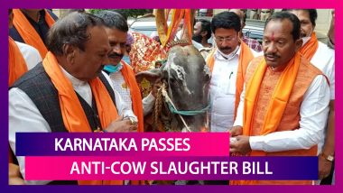 Karnataka’s BJP Government Passes Anti-Cow Slaughter Bill; Congress Walks Out