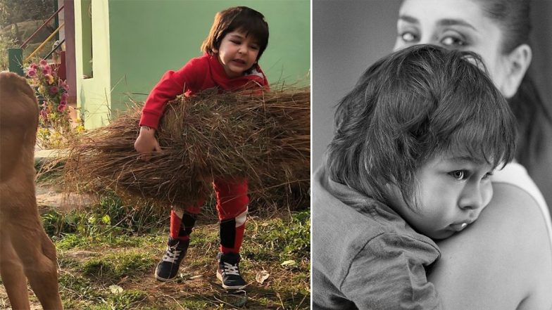 Taimur Ali Khan Turns 4! Kareena Kapoor Khan Says, ‘Chase Your Dreams And Keep Your Chin Up My Boy’