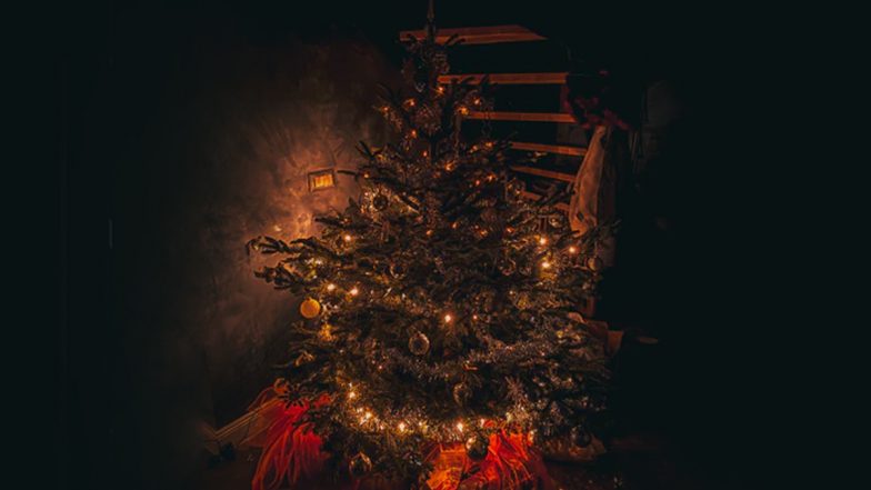 How to Decorate Christmas Tree 2020 at Home? Use Ribbons, Lights, Mesh, Tulle, Picks and Garland to Decorate Xmas Tree Like a Professional (Watch Videos)