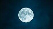 ‘Cum to the Moon!’ Scientists Propose to Send 6.7 Million Sperm Samples to the Lunar Surface As ‘Global Insurance Policy’
