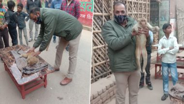 Dying Monkey Saved by UP Cop! Viral Pics Capture Crucial Moment When the Police Use CPR to Bring the Electrocuted and Unconscious Animal Back to Life