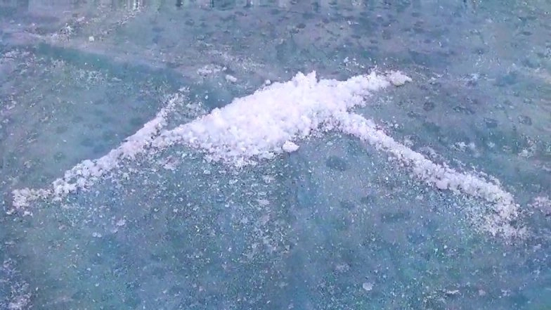 Rajasthan Winters: Cold Waves Conditions Persist in the State; Mercury Drops Below 1 Degree Celsius in Mount Abu