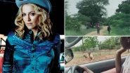 Singer Madonna Is Back Home After Visiting 5 Countries in 3 Weeks Amid COVID-19 Pandemic
