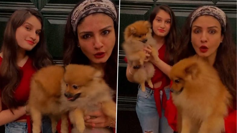 Raveena Tandon and Daughter Rasha Shake a Leg on Shehnaz Gill’s ‘Tauda Kutta Tommy’ (Watch Video)