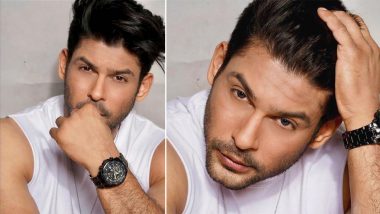 Bigg Boss 13 Winner Sidharth Shukla Welcomes December but Wonders Where Did 2020 Go (View Post)