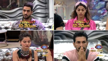 Bigg Boss 14: All Contestants Nominated for Eviction as a Punishment After Aly Goni and Nikki Tamboli Violate House Rules