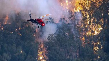 Year Ender 2020: Wildfires, Cyclones, Floods, Locust Swarms and More, 10 Deadliest Natural Disasters From Across the World That Definitely Made It An Apocalyptic Year!