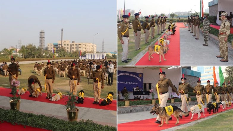 8 Dogs Retire After Serving 10 Years in CISF, Farewell Ceremony Organized (Pics and Video)